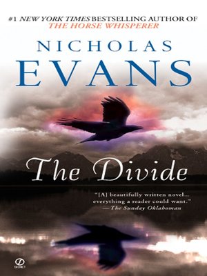 cover image of The Divide